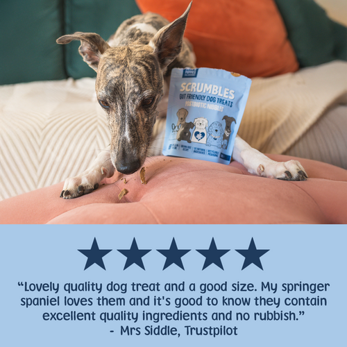 Postbiotic Nibbles Dog Treats