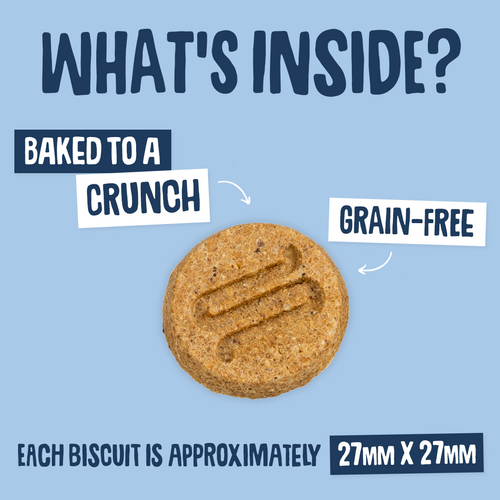 Postbiotic Nibbles Dog Treats