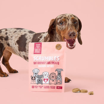 Salmon Softies Dog Treats