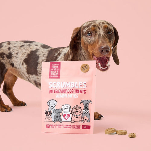 Salmon Softies Dog Treats