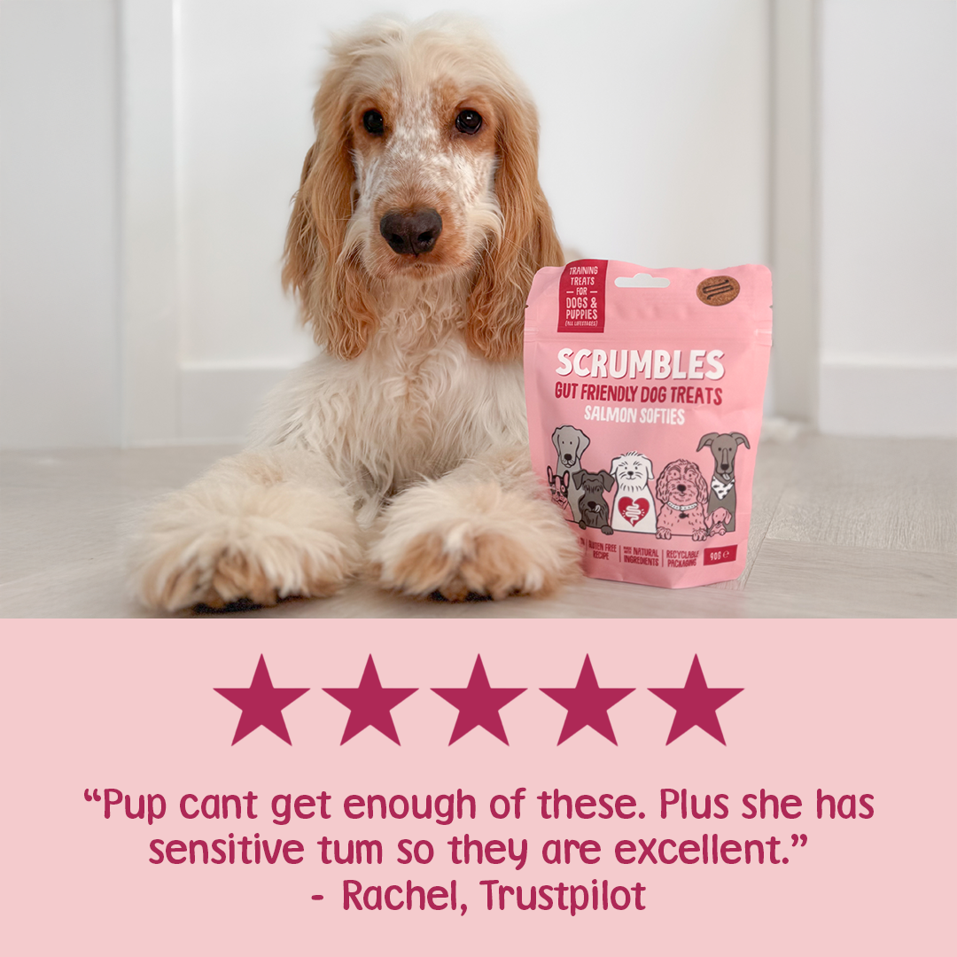 Salmon Softies Dog Treats Review