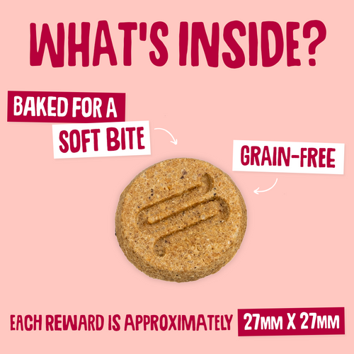 Salmon Softies Dog Treats