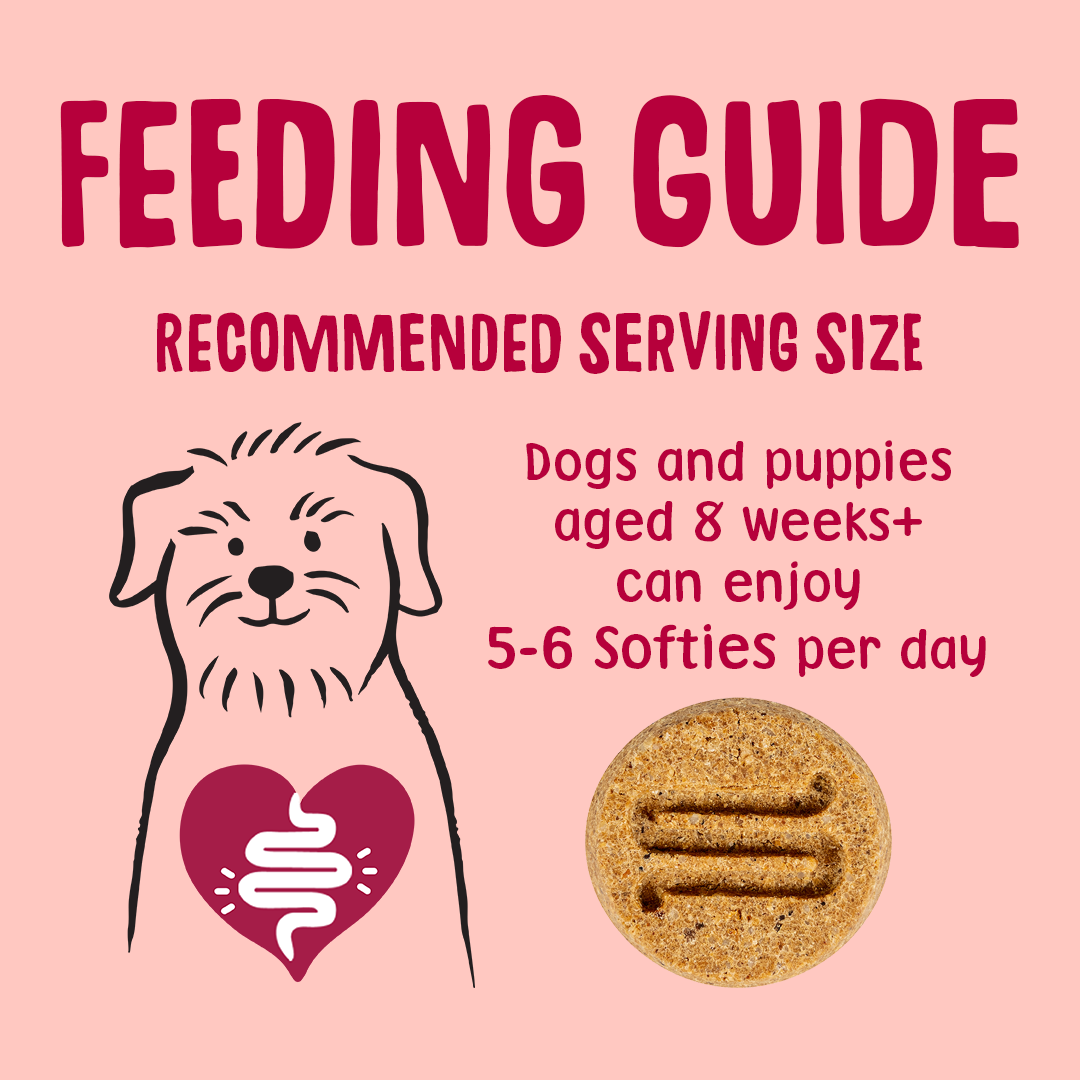 Salmon Softies Dog Treats Feeding