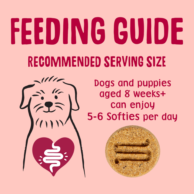 Salmon Softies Dog Treats Feeding