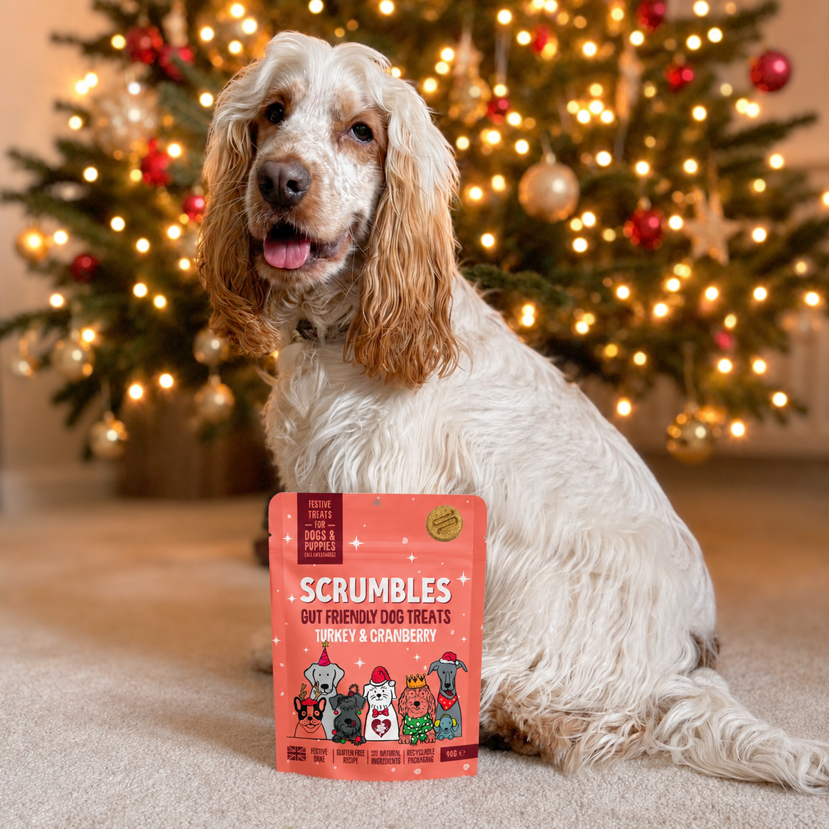 Christmas Dog Treats Turkey Softies
