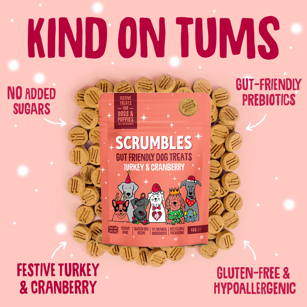 Christmas Dog Treats Turkey Softies