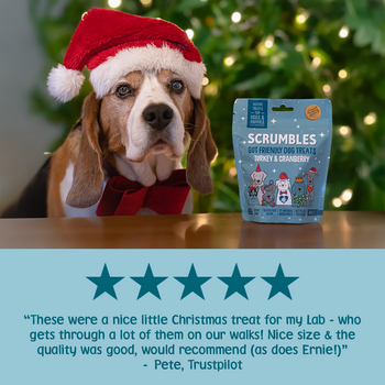 Christmas Turkey & Cranberry Softies Dog Treats Review
