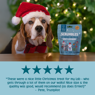 Christmas Turkey & Cranberry Softies Dog Treats Review