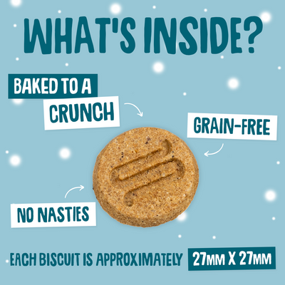 Christmas Turkey & Cranberry Softies Dog Treats Size