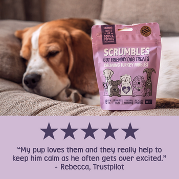 Calming Turkey Nibbles Dog Treats Review