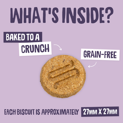 Calming Turkey Nibbles Dog Treats