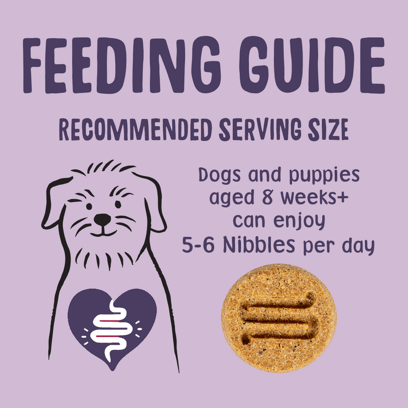Calming Turkey Nibbles Dog Treats Feeding