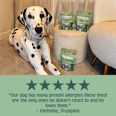 Veggie Softies Dog Treats Review