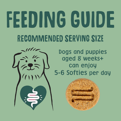 Veggie Softies Dog Treats Feeding