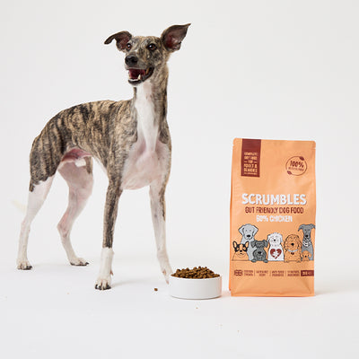 dry dog food