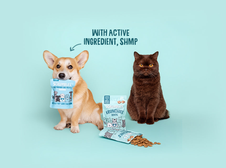 Scrumbles: Natural Pet Food