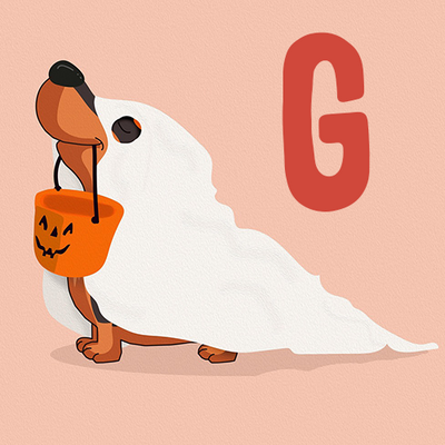 Meat and Fish Wet Dog Food Selection