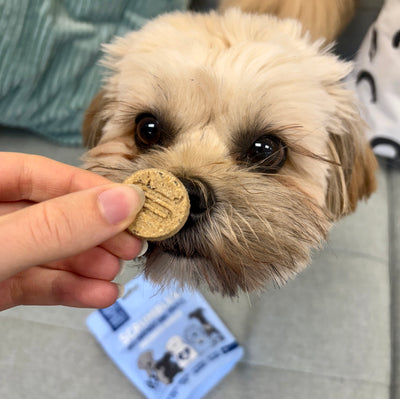 Postbiotic Nibbles Dog Treats