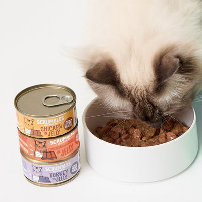 scrumbles-jelly-cat-food-classic-meat-poultry-chicken-duck-turkey-selection-box-grain-free-high-protein-hypoallergenic-tin-6x80g-1