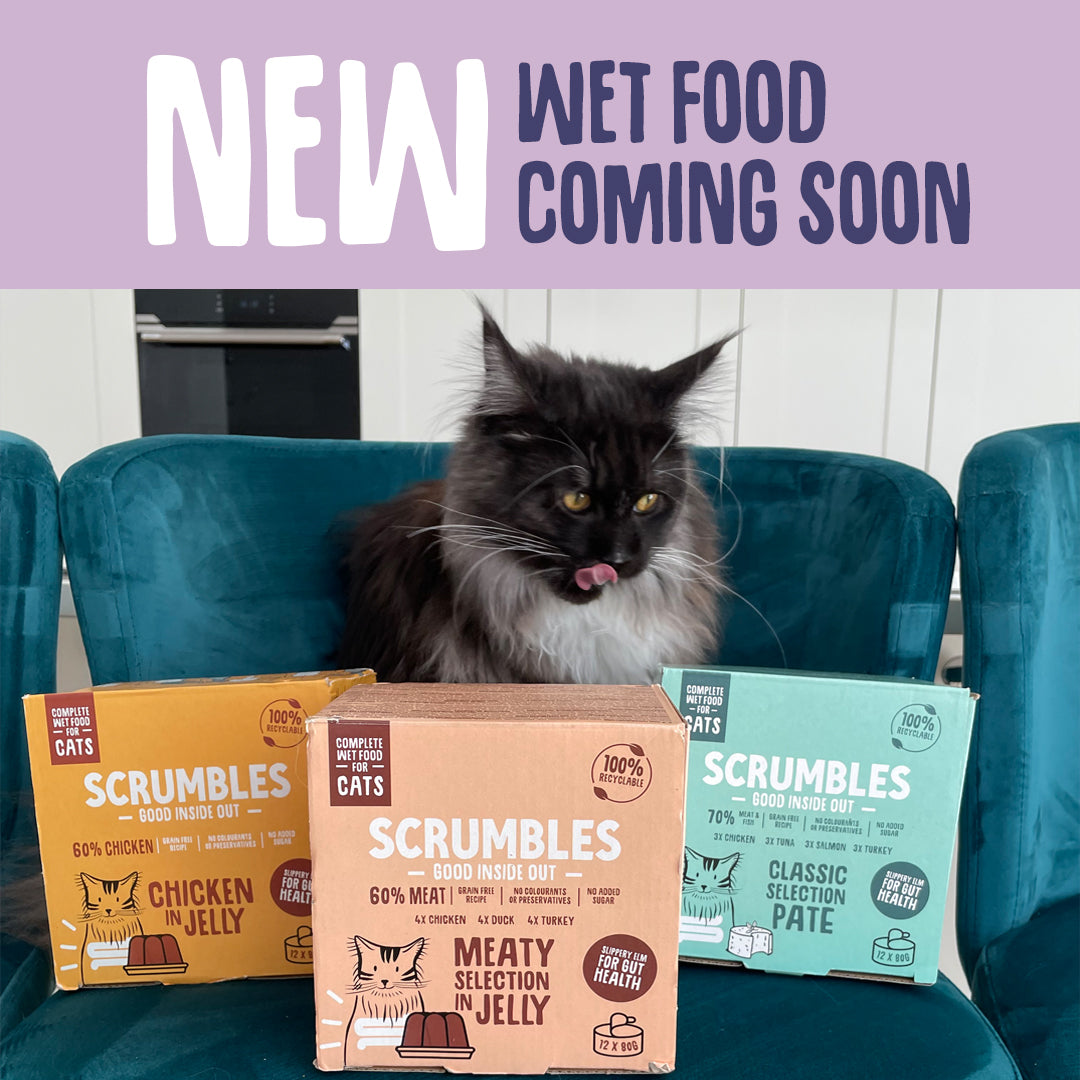 Can Humans Eat Cat Food? Meow or Never