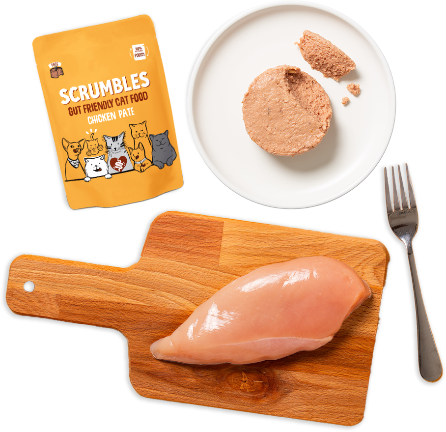 Pâté Cat Food Pouches