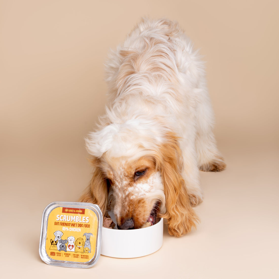 Chicken Wet Dog Food