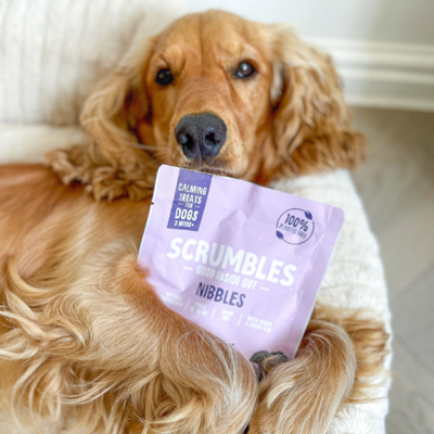 Scrumbles Nibbles