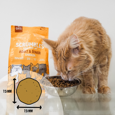 chicken-dry-cat-food-scrumbles-dry-cat-food-adult-cat-food-best-seller-black-friday-cat-food-dry-cat-food-gluten-free-cat-food-high-protein-cat-food-hypoallergenic-cat-food-kitten-food-natural-cat-food-senior-cat-food-sensitive-stomach-cat-food-0