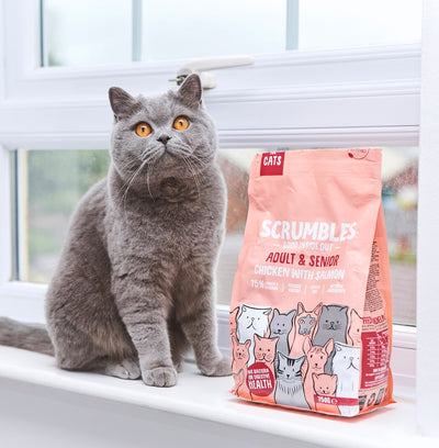salmon-and-chicken-dry-cat-food-scrumbles-dry-cat-food-adult-cat-food-black-friday-cat-food-dry-cat-food-gluten-free-cat-food-high-protein-cat-food-hypoallergenic-cat-food-kitten-food-natural-cat-food-senior-cat-food-sensitive-stomach-cat-food