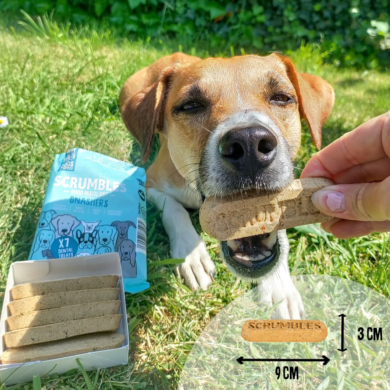 Diy dog 2024 dental chews