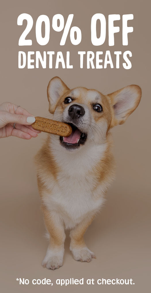 20% off dental dog treats