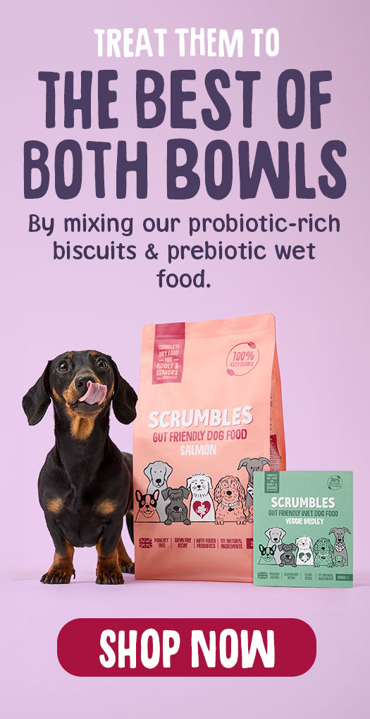 Scrumbles: Natural Pet Food