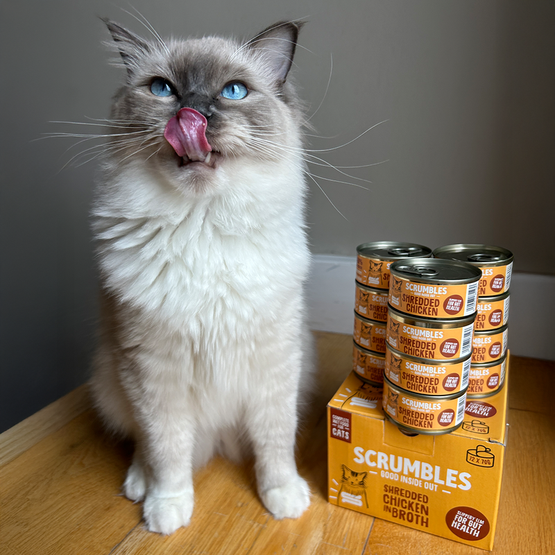 Wet Cat Tins Shredded Chicken in Broth