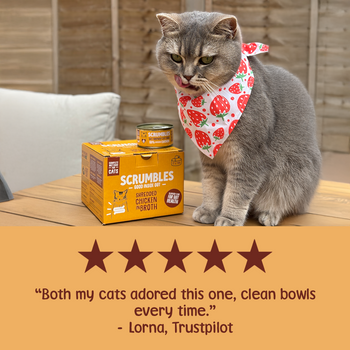 Wet Cat Tins Shredded Chicken in Broth Review