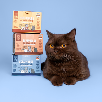 Wet Cat Tins Shredded Meat & Fish in Broth Selection