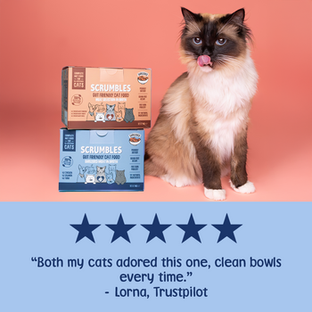 Wet Cat Tins Shredded Meat & Fish in Broth Review