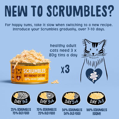 Wet Cat Tins Shredded Meat & Fish in Broth Feeding