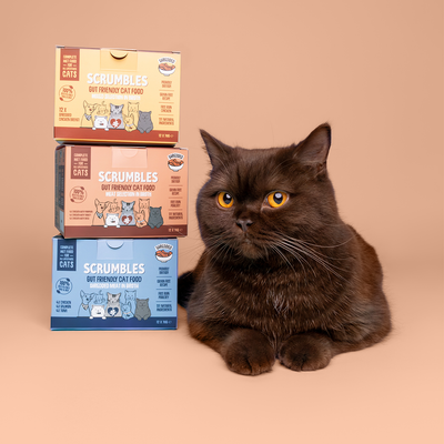 Wet Cat Tins Shredded Poultry in Broth Selection