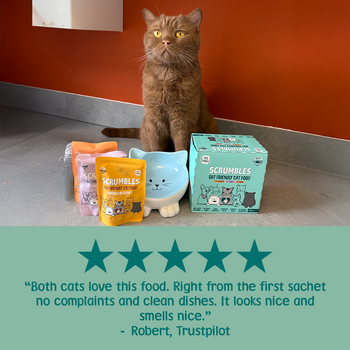 Wet Cat Pouches Gravy Selection Review