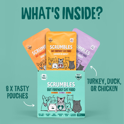 Wet Cat Pouches Gravy Selection Selection