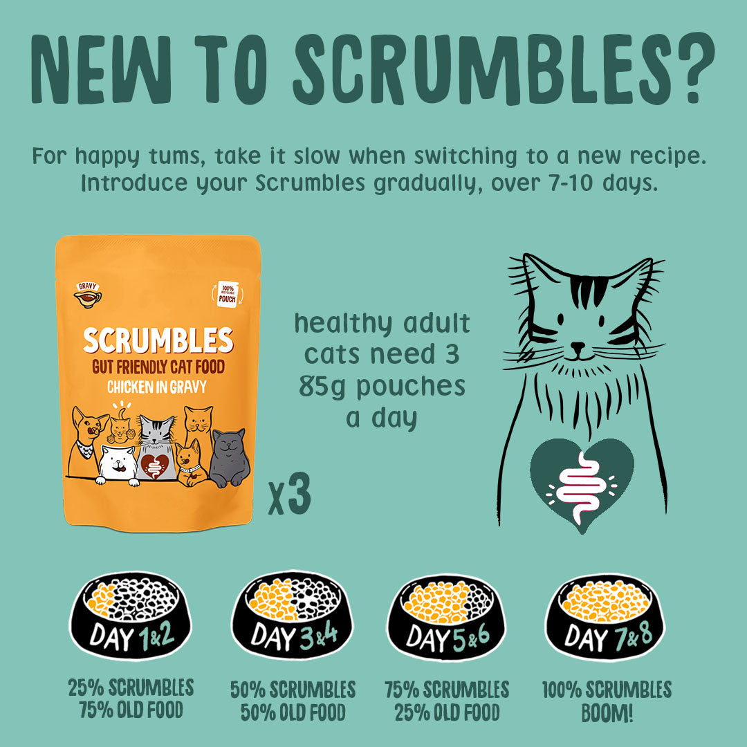 Wet Cat Pouches Gravy Selection Feeding