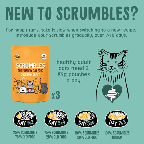 Wet Cat Pouches Gravy Selection