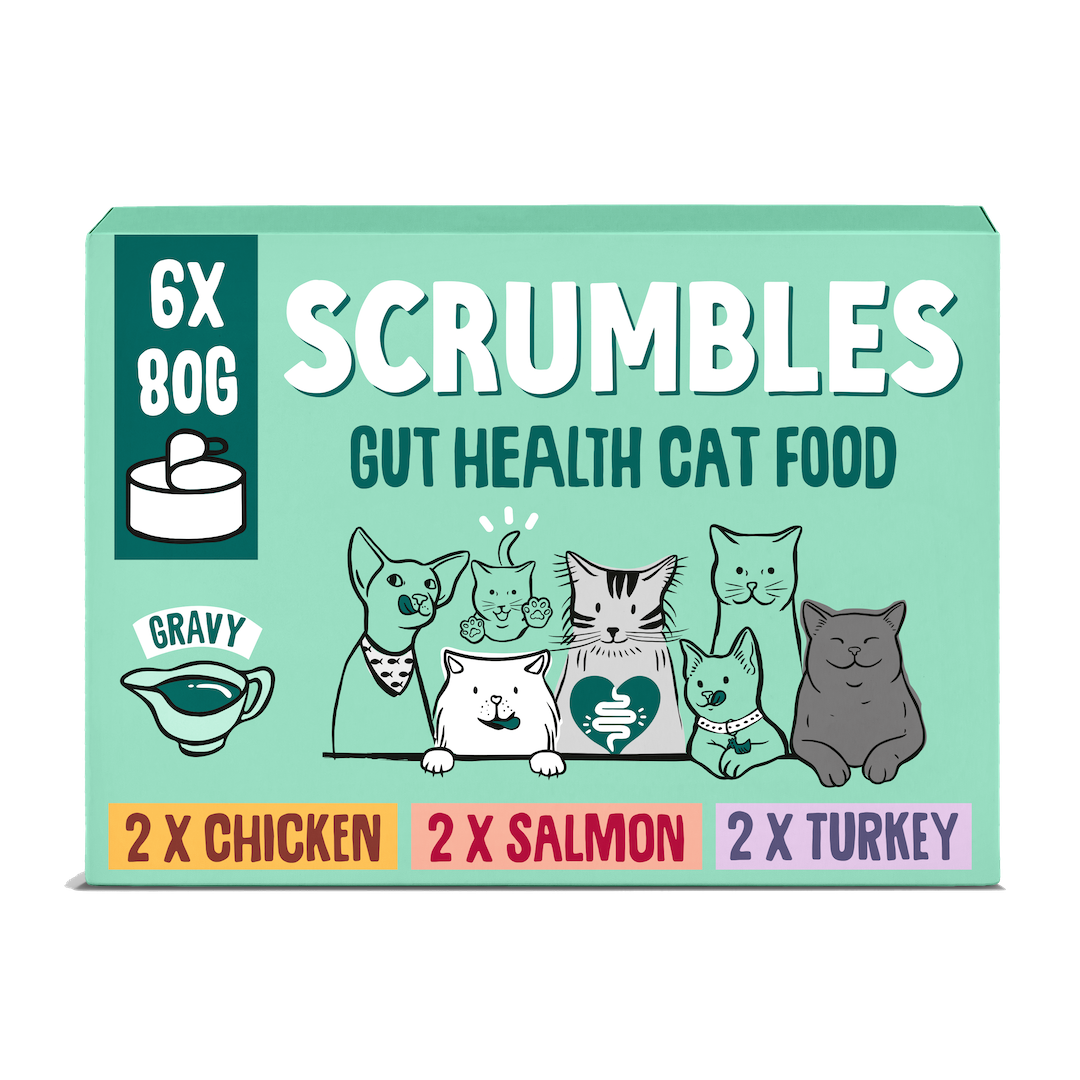 Wet Cat Tins Jelly Selection