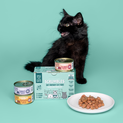 Wet Cat Tins Jelly Selection