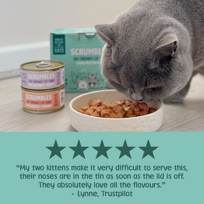 Wet Cat Tins Jelly Selection Review
