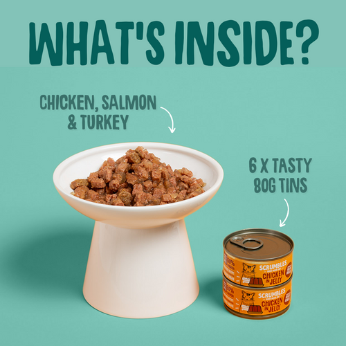 Wet Cat Tins Jelly Selection