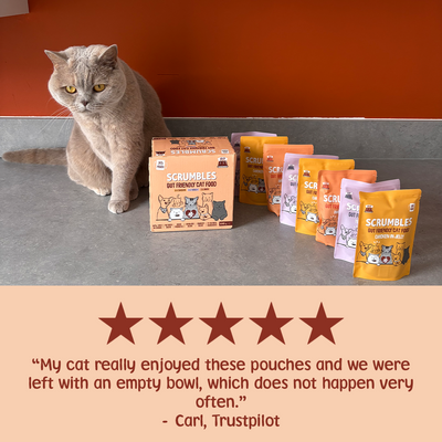 Wet Cat Pouches Poultry in Jelly Review