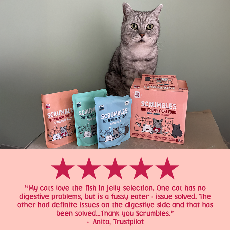 Wet Cat Pouches Fish Jelly Review