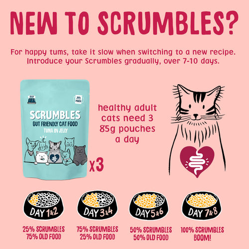 Wet Cat Pouches Fish Jelly