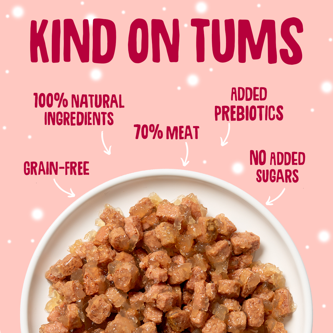 Christmas Poultry in Jelly Tins Gut Friendly